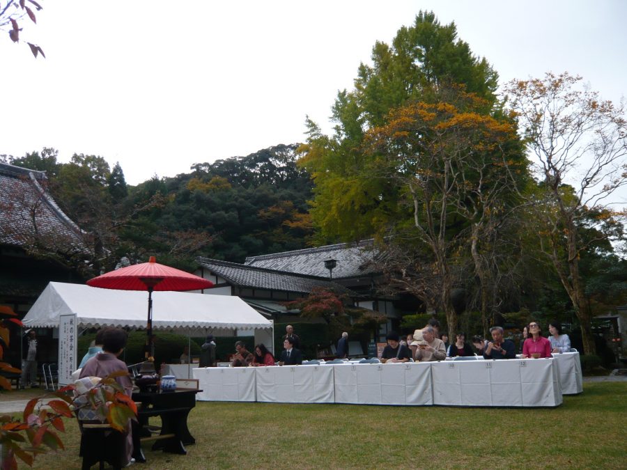 色づき始めの大イチョウが背景のお茶席