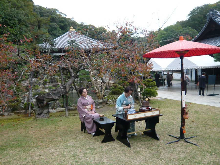 紅葉した桜が背景の野点席