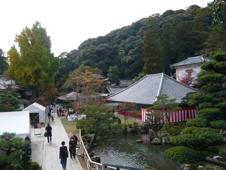 秋の茶会の全景